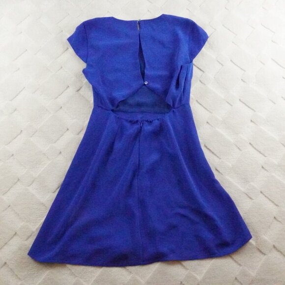 Aritzia Babaton Hamptons Mini Dress - Picture 12 of 14